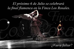 finalflamenca2